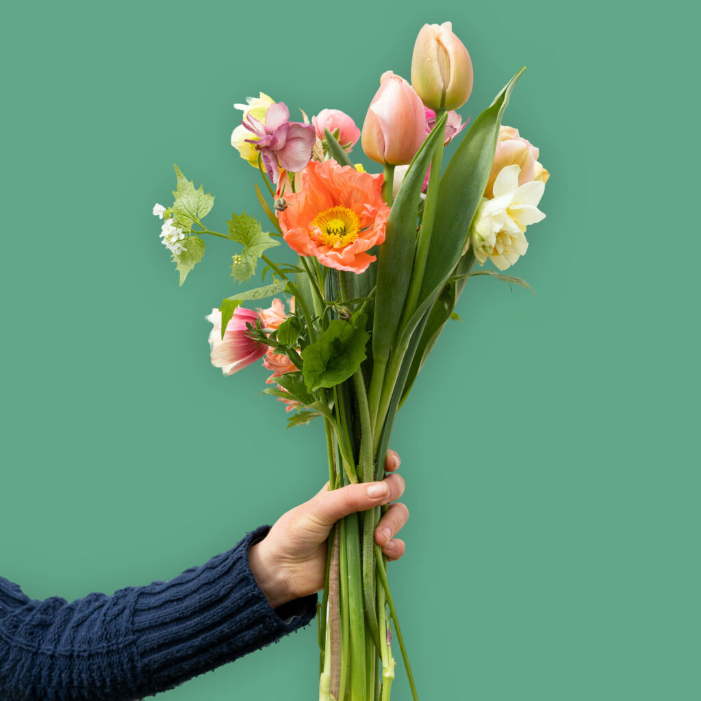 Bunch of spring flowers